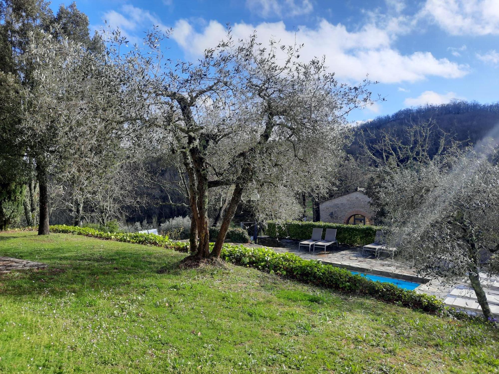 Borgo Livernano - Farmhouse With Pool Radda in Chianti Ngoại thất bức ảnh